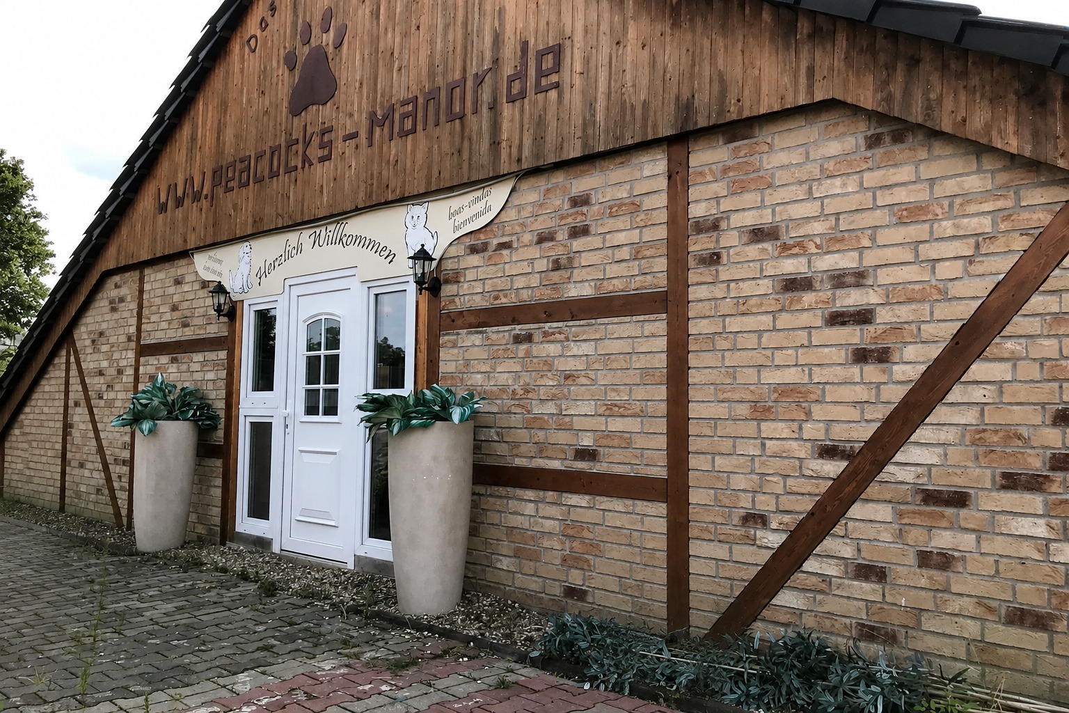 Katzenhotel – Innenansicht
